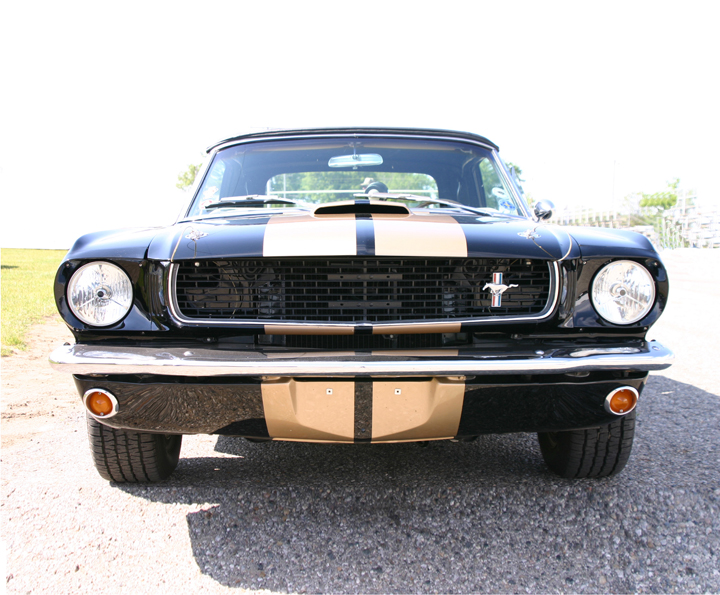 GT350H (4)